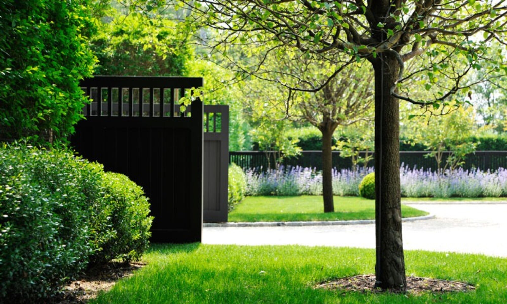 DAVIS Landscape Design